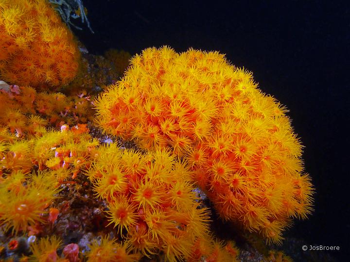 PA149879.JPG
